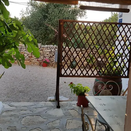 Daire Tvrdic Honey Grohote