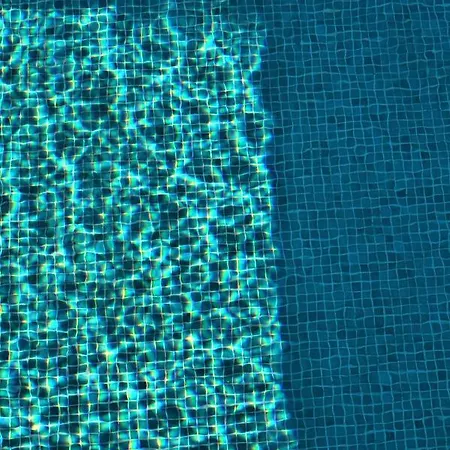 Tvrdic Honey Daire *