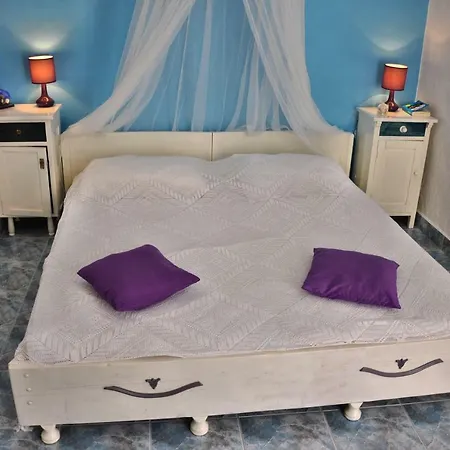 Tvrdic Honey Daire Grohote