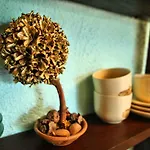 Tvrdic Honey 아파트 Grohote